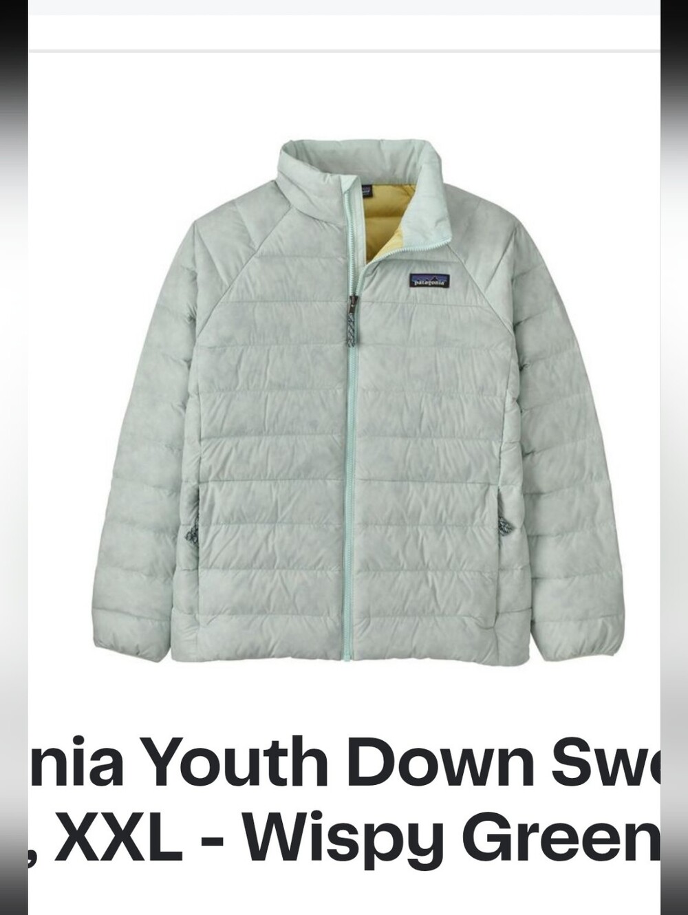 NWT Patagonia Kid's Down Jacket, XXL(16/18)
